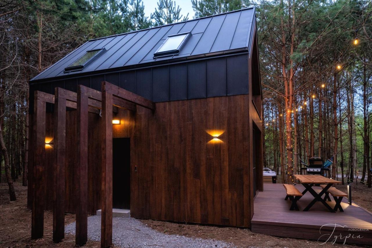 Вилла Dziupla House Czarna  Экстерьер фото